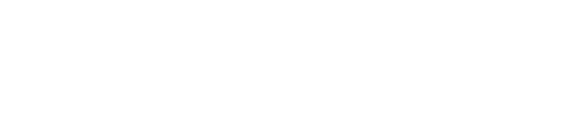 SNK – Sdružení nezávislých kandidátů